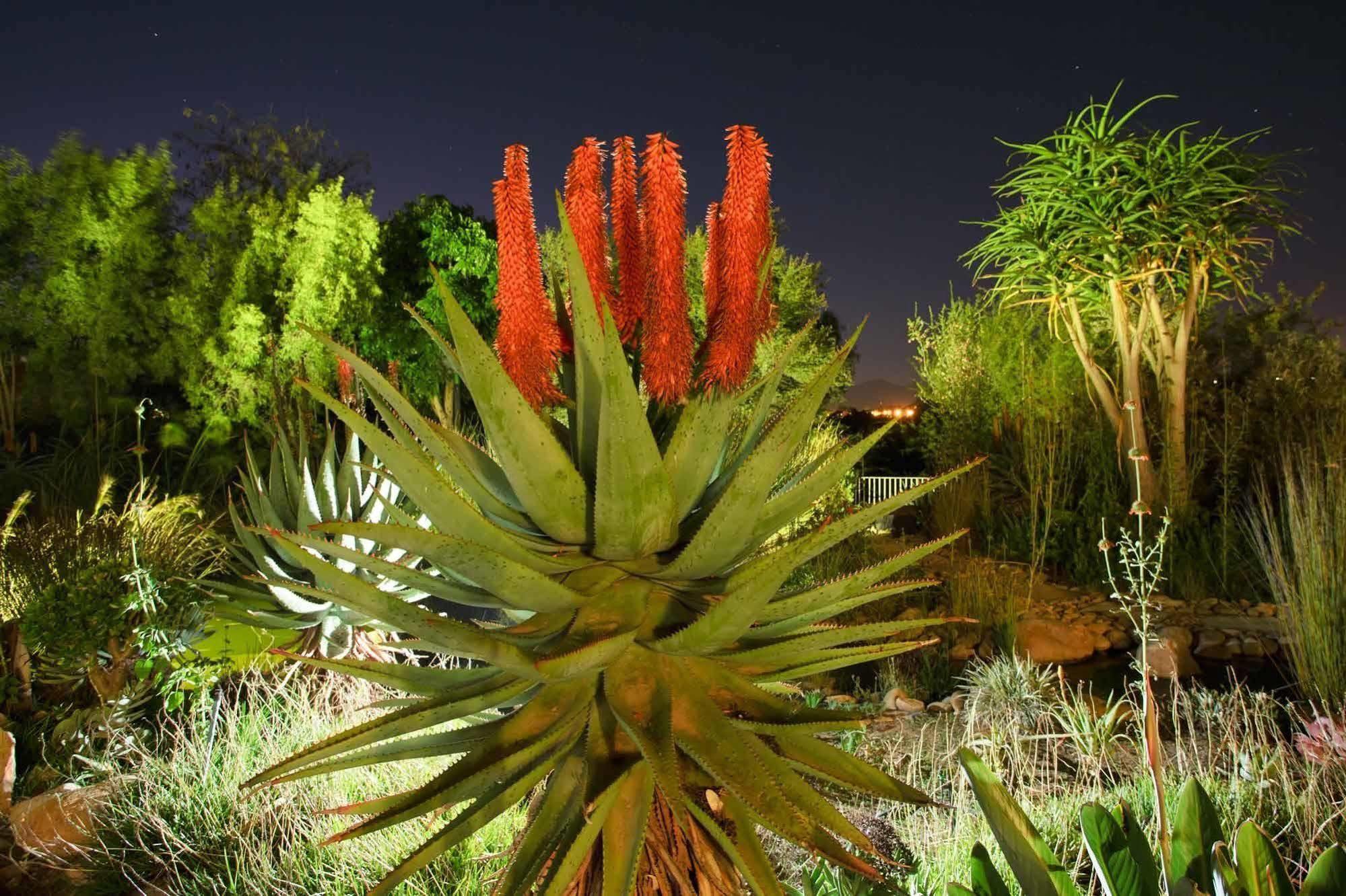Aloe Manor Oudtshoorn Exterior foto